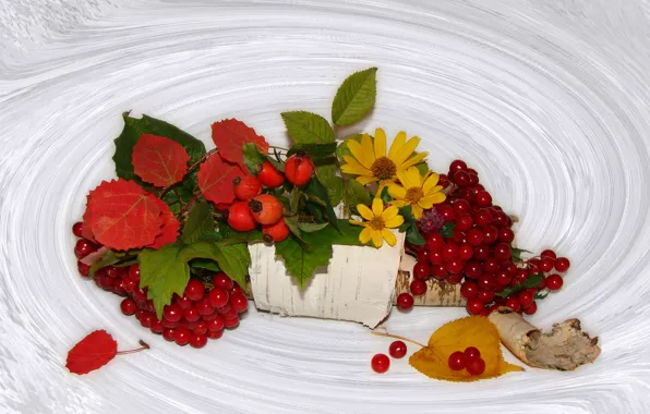 Autumn, forest, leaves, nature, chamomile, briar, beautiful, beautiful