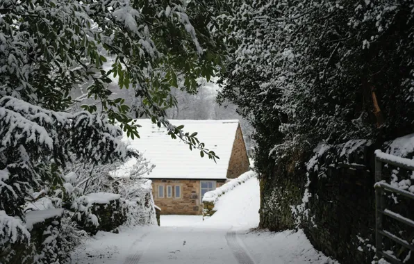 Nature, Nature, Snow Trees, Snow Trees, Winter House, Winter House