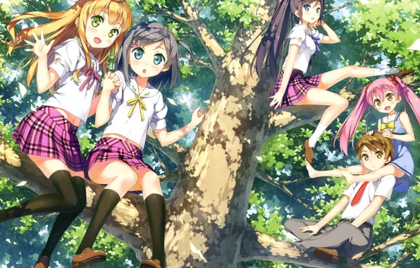 Summer, branches, tree, friends, students, tsukiko tsutsukakushi, emanuela porelora, youto uokodera