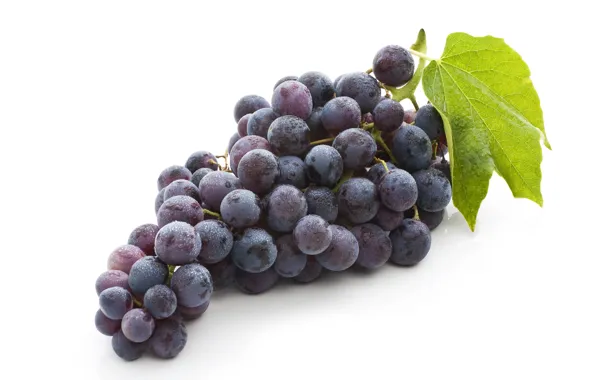 Picture leaves, fruit, bunch of grapes