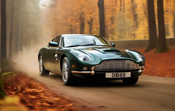 Aston martin, europa, england, classic car, autumn, autumn forest, British, british car