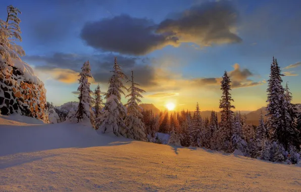 Picture winter, forest, snow, mountain, National Park, Mount Rainier