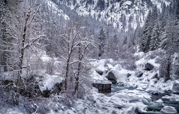Picture winter, snow, trees, landscape, nature, river, beauty