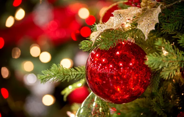 Picture winter, branches, red, lights, toy, spruce, ball, New Year