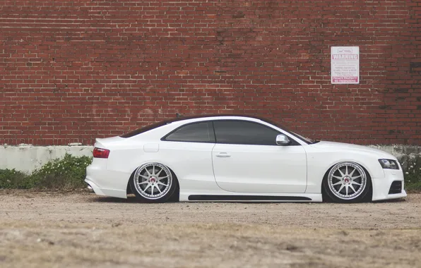 Audi, Audi, profile, white, white, low, stance