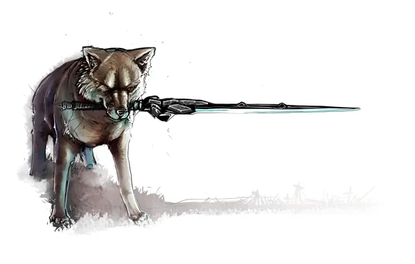 Sword, fantasy, game, minimalism, weapon, wolf, painting, fan art