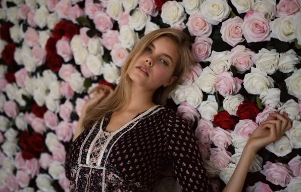 Picture girl, flowers, face, background, beauty