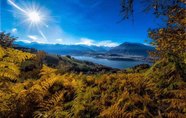 Picture mountains, blue, shore, fern, pond