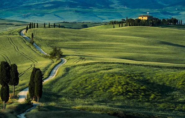 Road, house, hills, Italy, cypress, Tuscany