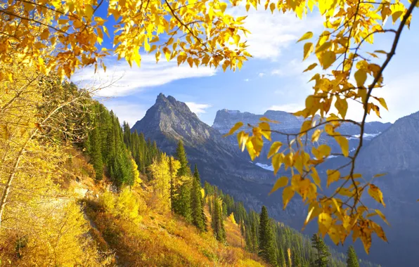 Autumn, mountains, Montana