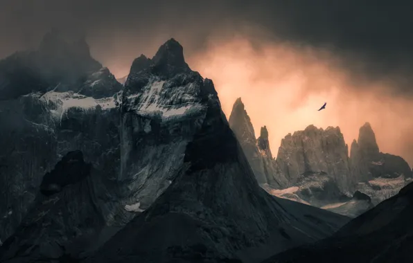 Snow, mountains, clouds, nature, rocks, bird, eagle, Chile