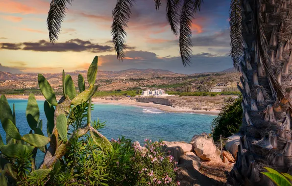 Picture sea, landscape, nature, Palma, stones, coast, cactus