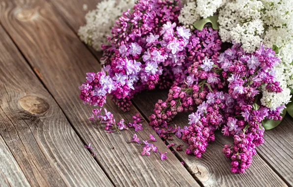 Board, flowers, lilac, bunches