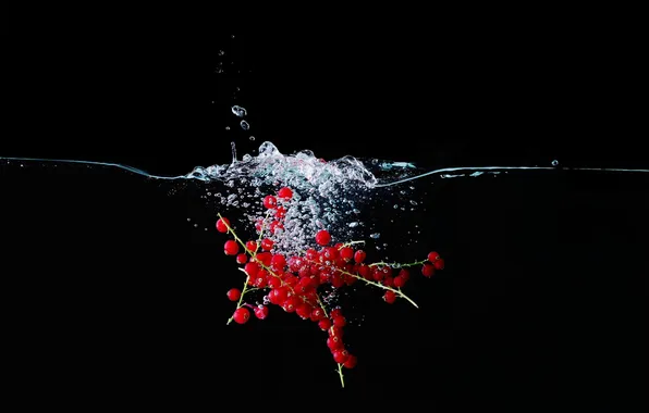 Picture water, bubbles, berries, red, black background, currants