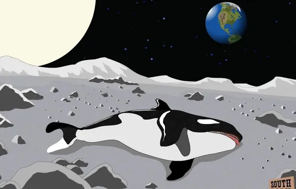 Picture space, planet, South Park, orca