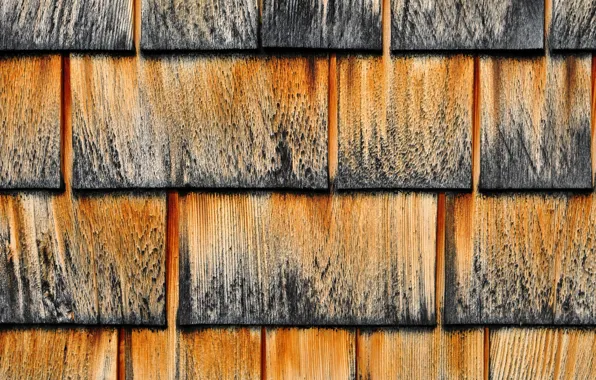Picture roof, tree, color, shingles, roof