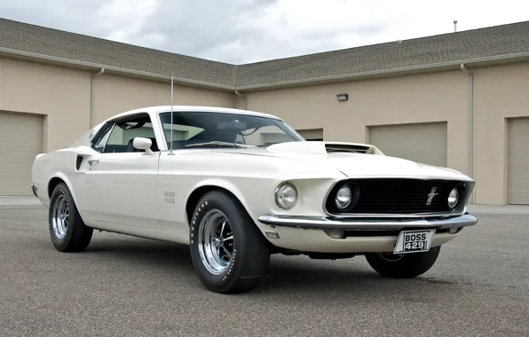 Picture white, mustang, Mustang, 1969, white, ford, muscle car, Ford