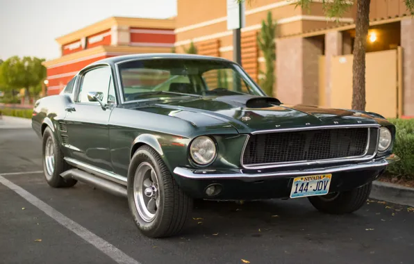Picture Mustang, Ford, classic, the front, Muscle car