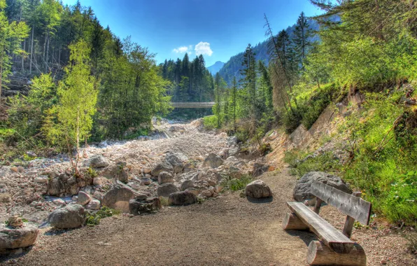 Picture forest, the sky, trees, landscape, bench, stones, HDR, forest