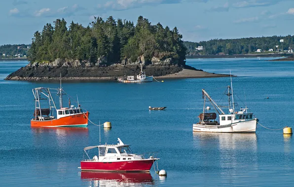 Picture the sky, trees, lake, boat, island, boat