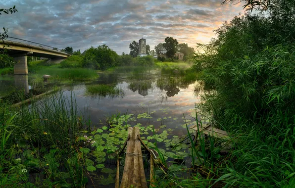 Picture landscape, the river, Pskov, Roman Dmitriev, D. Videlebye