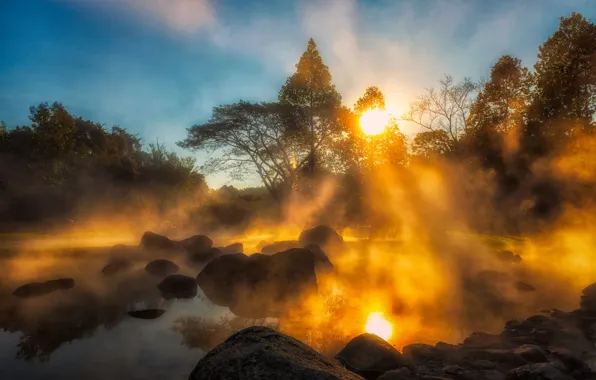 The sun, trees, landscape, nature, fog, pond, Park, reflection