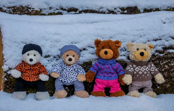 Winter, snow, clothing, toy, toys, bear, bears, bear