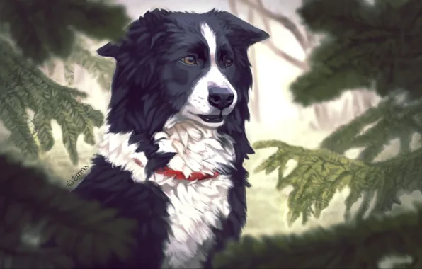 Picture trees, spruce, dog, art, collar, needles, Emma Jonsson