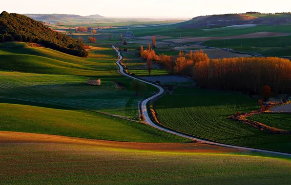 Road, autumn, grass, trees, sunset, hills, Spain, Valladolid