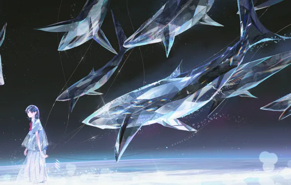 The sky, water, girl, night, surrealism, crystal, whales