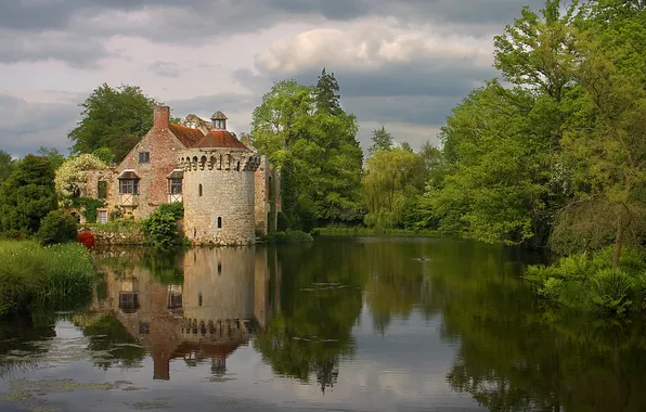 Greens, forest, summer, water, trees, lake, house, pond