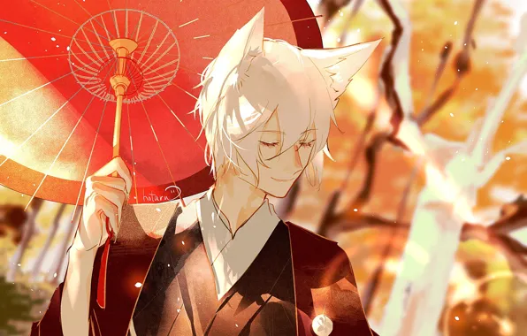 Fox, male, Kamisaa The Hajimemashita, Tomoe