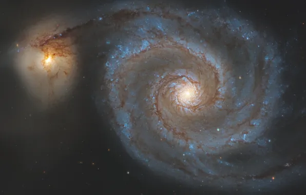 Picture galaxy, The Dogs Of War, Whirlpool, in the constellation