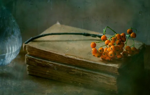 Drops, book, Rowan, August rains