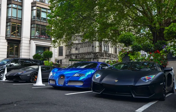 Bugatti, Veyron, supercar, Bugatti, Blue, Lamborghini, Black, the front