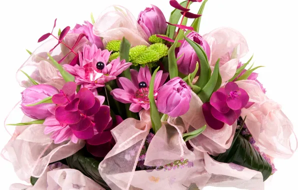 Picture flower, nature, bouquet, spring, tape, tulips, bow, lilac
