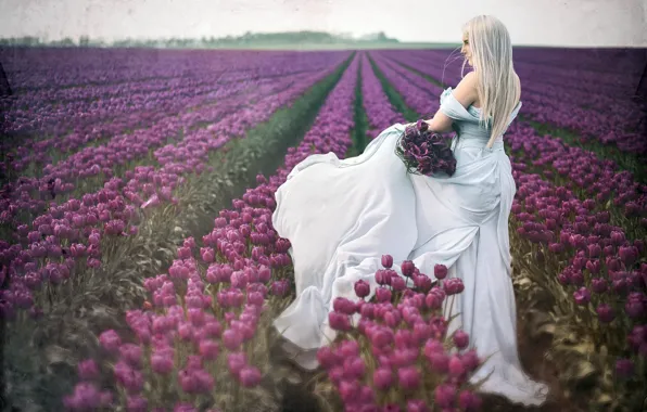 Picture field, girl, tulips