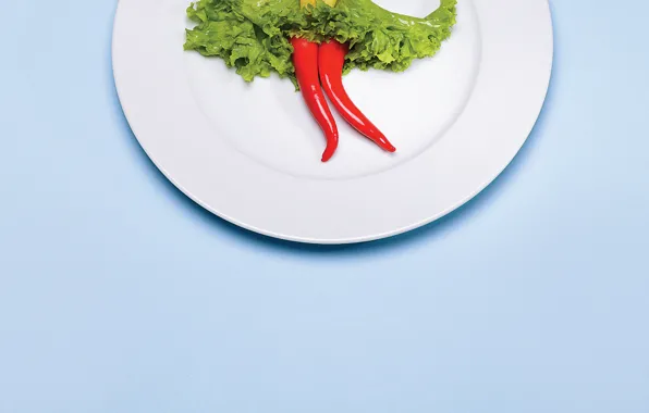 Creative, plate, pepper, salad, potatoes