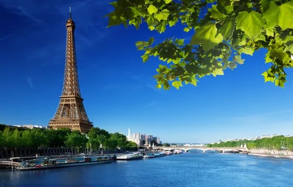 Summer, the sky, leaves, bridge, river, France, Paris, green