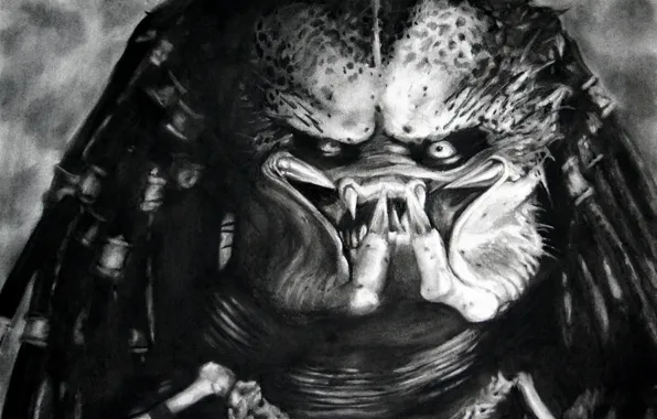 Download Alien Vs Predator Monstrous Face Wallpaper