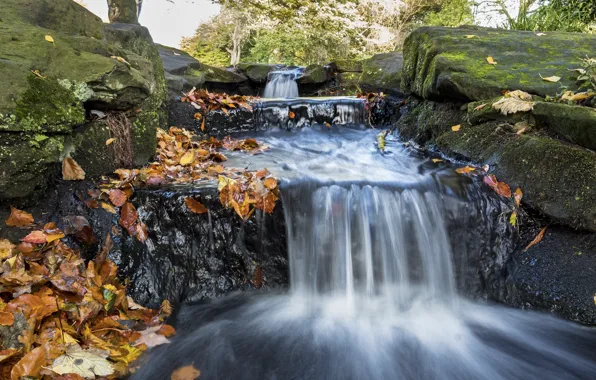 Autumn, leaves, nature, stones, waterfall