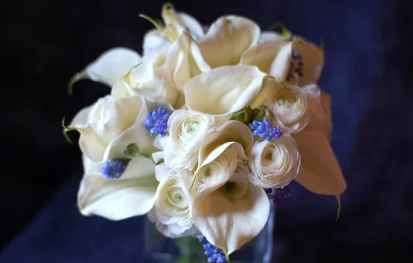 Picture white, flowers, blue, color, bouquet, Ranunculus, Calla lilies, hyacinths