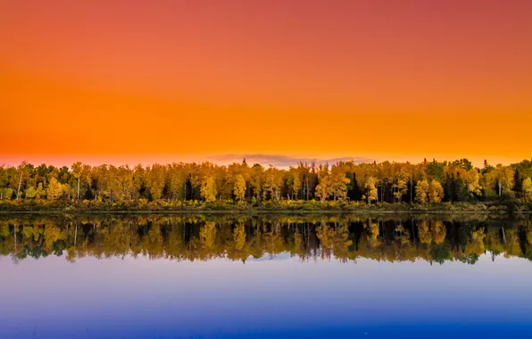 Forest, trees, sunset, lake, reflection, mirror, orange sky