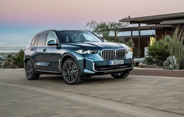 Picture BMW, SUV, BMW X5, SUV, 2023