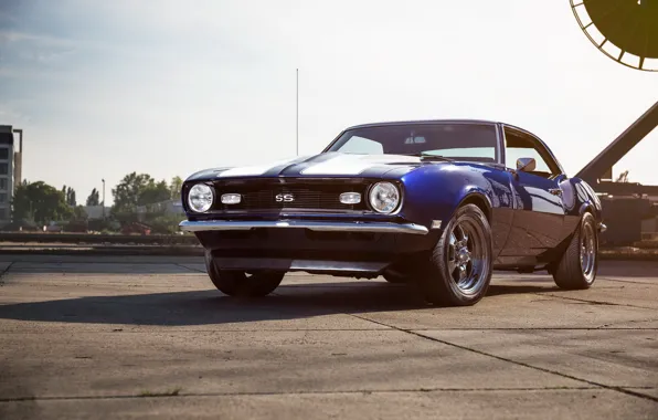 Picture Chevrolet, Camaro, Blue, White, 1968, Stripes