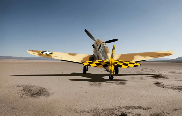 Picture aviation, the plane, Desert P-40