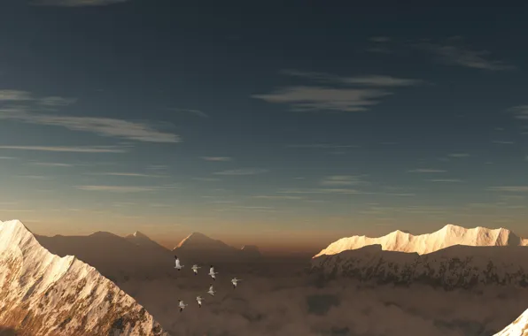 Picture the sky, clouds, snow, mountains, bird