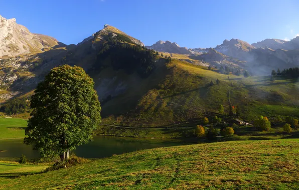 The sky, grass, trees, mountains, lake, hills