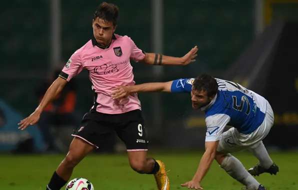 The ball, fight, pink, Palermo, Paulo Dibala