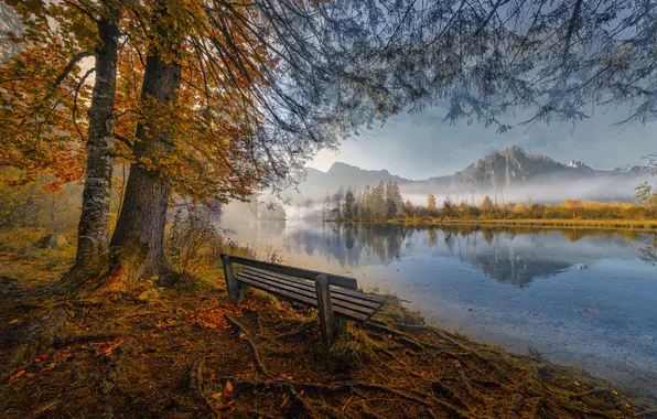 Picture autumn, trees, mountains, bench, nature, fog, lake